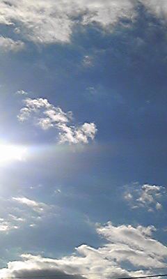 101027_0800511.jpg