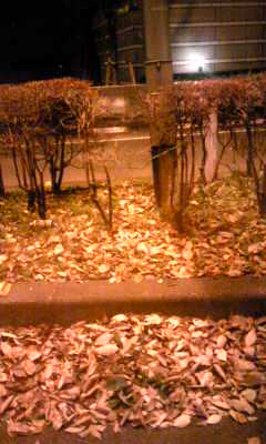 101121_23285511.jpg