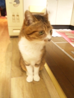 130219_171214.jpg